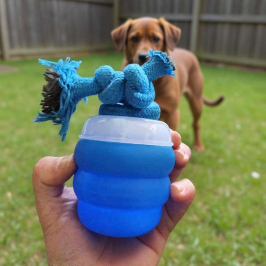 Jouets pour chiens : pourquoi les objets interactifs changent tout ?