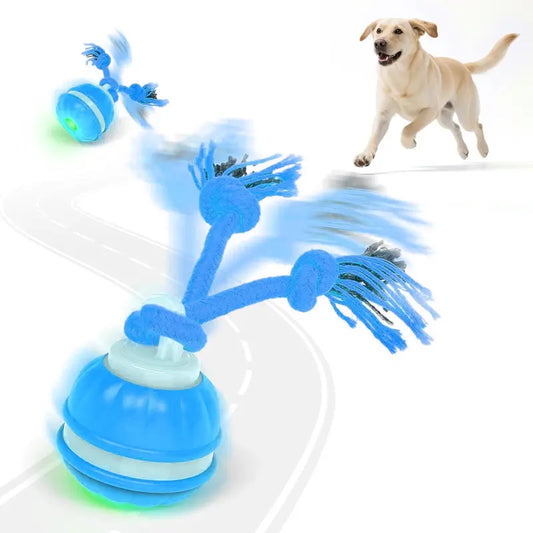 Jouet interactif Novexa